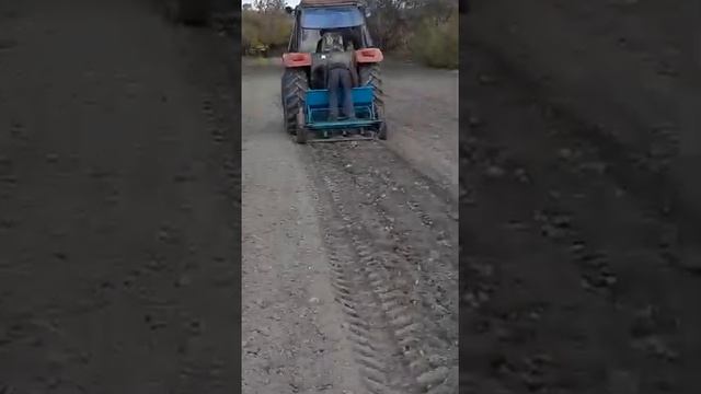 Посев чеснока смотреть онлайн