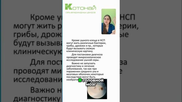 Способы лечения | Как избавиться от клещей у животных?