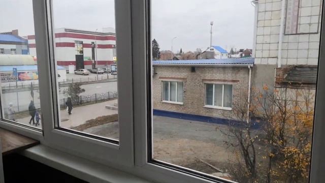 Чем поливают и почему по 2-3 раза в день? смотреть онлайн