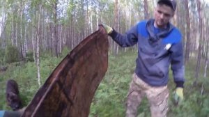 Металлокоп в Тайге.  Лесной поиск.