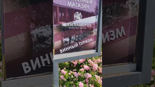 Цветы растут прямо на парковке "Золотой балки", АРТ-парк, Балаклава, Севастополь, Крым, Шампанерия.