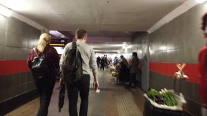 10 главных вопросов про Бирюлёвскую линию метро