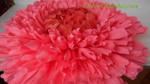 Красивый гигантский цветок из гофрированной бумаги - хризантема, мастер класс