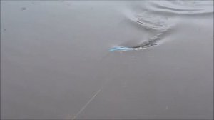Jerkbaits BAN тесты, техника проводки джеркбейтов