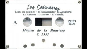 Los Caimanes - La Leva - MAZ 10195