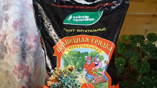 Правильные подкормки для любых растений