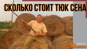 Подготовка к зиме: купил сено. "Мое Подворье"