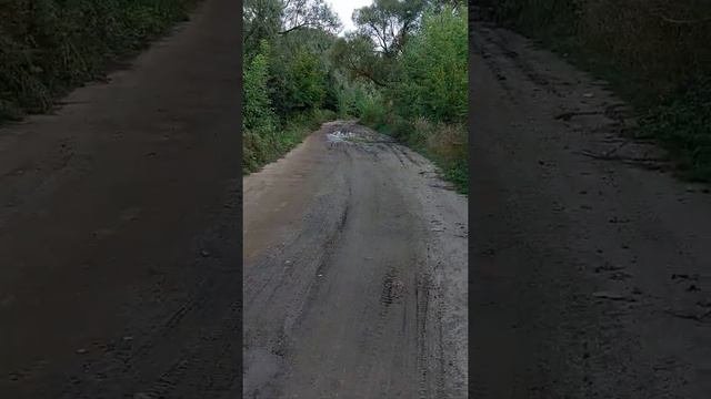Грязная дорога