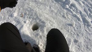 Плотва, ТЫ ГДЕ?/ Рыбалка На ЛЬДУ в ПАЛАТКЕ!!