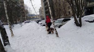 Аусси Ханни, подготовка ВН