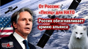 Госдеп США: новые спутники России блокируют военные объекты НАТО. Система программы «Песец»