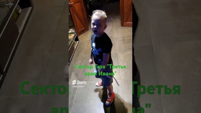 Малой поет Сектор Газа🤟 #shorts #СГ #СекторГаза