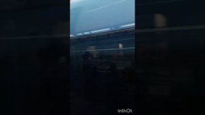 Метро в Дубае - это сказка! Едем из района Бур-Дубай до Бурдж Халифа. Метро едет поверху. 20.06.202