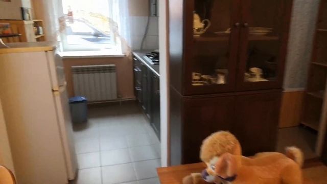 Аренда дома у оз. Селигер +7 916 990 95 59 Борис первая линия от воды смотреть онлайн