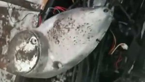 Бсз + фуоз на оптике иж юпитер 5