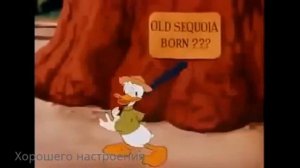 Дональд Дак и секвойя