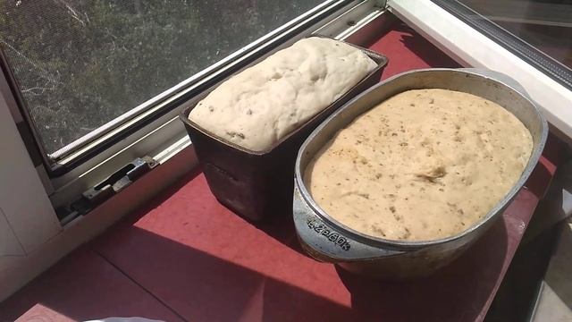 Гречка с индейкой для диабетиков и не только ! Плюс два хлеба, два салатика и чайный гриб. смотреть онлайн