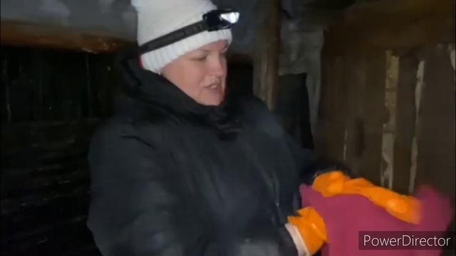 Дойка коровы за 7 минут. ОК - фермерок. смотреть онлайн