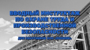 Отрывок (5 из 12 минут) из "Вводного инструктажа по охране труда компании "Полиом" (2020-е)