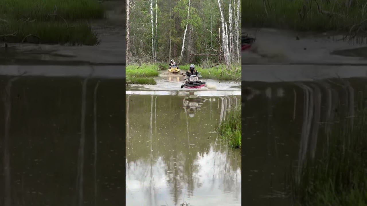 Поплыли смотреть онлайн