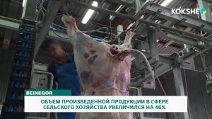 ОБЪЕМ ПРОИЗВЕДЕННОЙ ПРОДУКЦИИ В СФЕРЕ СЕЛЬСКОГО ХОЗЯЙСТВА УВЕЛИЧИЛСЯ НА 46%