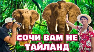 СЛОНЫ В СОЧИ? ИЛИ ТАЙЛАНД? УВЛЕКАТЕЛЬНОЕ ПУТЕШЕСТВИЕ!