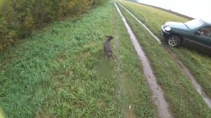 Охота на утку 2022 с подхода. МР-155, чток 0,25 Ижмех +50мм