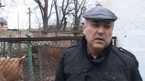 Организация загона для крупно рогатого скота