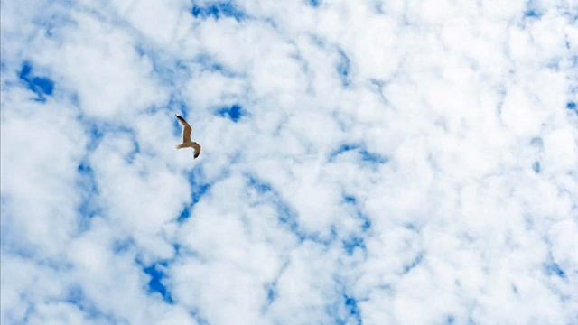 Ни о чем не жалейте смотреть онлайн