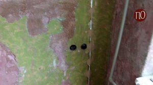 С чего начать ремонт кухни, планирование!