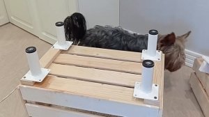 Домик для собаки своими руками. Идея домика