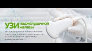 Поджелудочная железа. Нахождение, строение, функции. Где болит поджелудочная железа