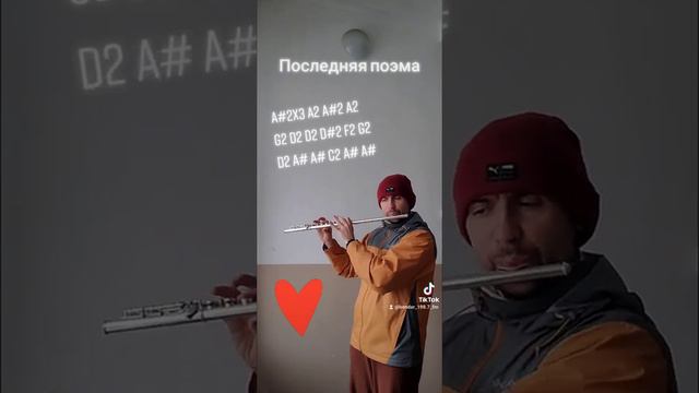 Последняя поэма на флейте