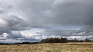 Первый полет Летающего Крыла Next 850 (Alnado)