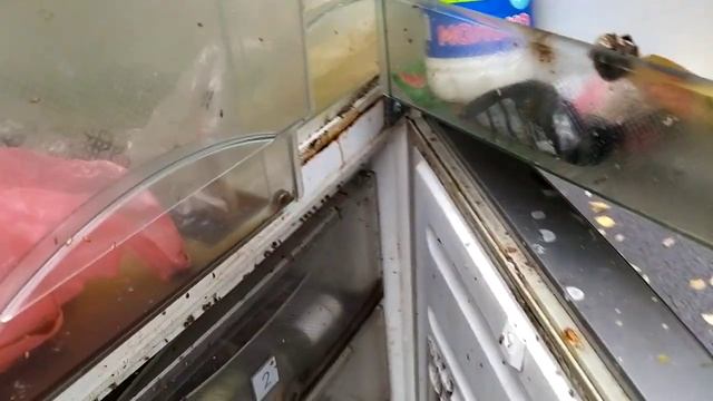 купил не глядя смотреть онлайн