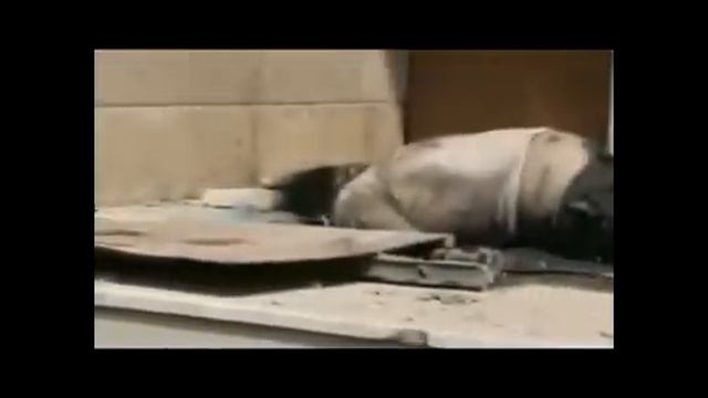 Urgent Appeal from Syria Срочное обращение со стороны Сирии .flv смотреть онлайн