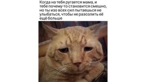 Приколы. НЕ НАРЫВАЙСЯ, А ТО РЕЖИКОМ ЗАНОЖУ | Мемозг #175