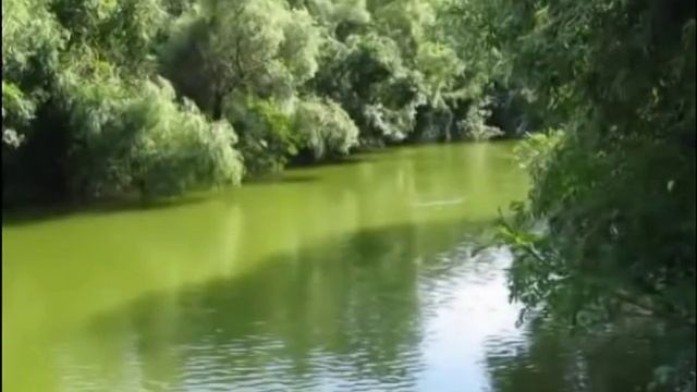 Река (музыка для релаксации) смотреть онлайн