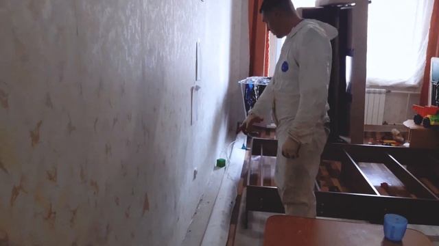 Как избавится от блох навсегда в квартире .   #СанконтрольКрасноярск.