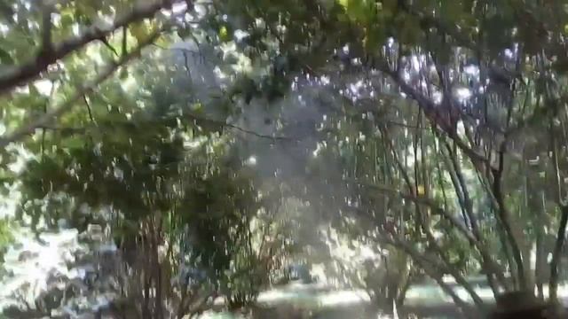 В ютубе вы такого не увидите!!! Опрыскивание фундукового сада с помощью минитрактора смотреть онлайн