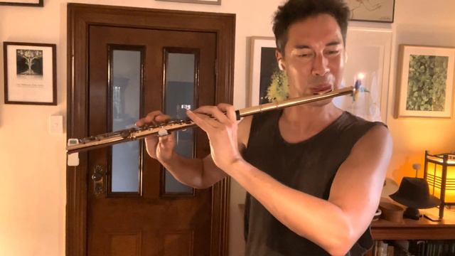 METRONOME PLAY ALONG!▪️Theme from Symphony #92 - J Haydn (AMEB Grade 1, List A) смотреть онлайн