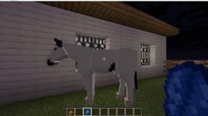 Playing Swem minecraft, finishing my stable