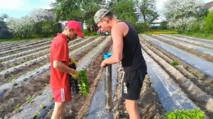 ЧУДО-АГРЕГАТ сажалка для рассады