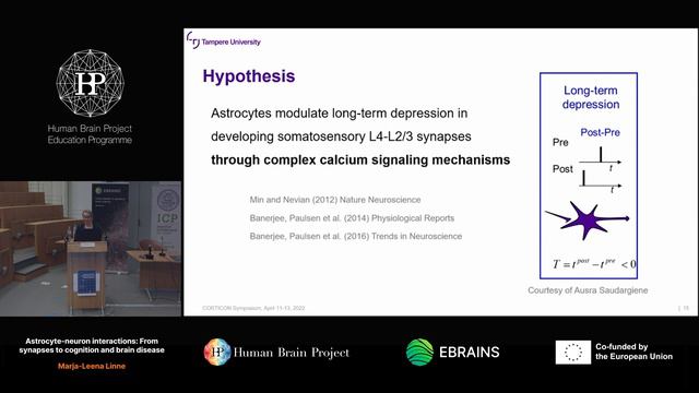 Marja-Leena Linne - Astrocyte-neuron interactions: From synapses to cognition and brain disease