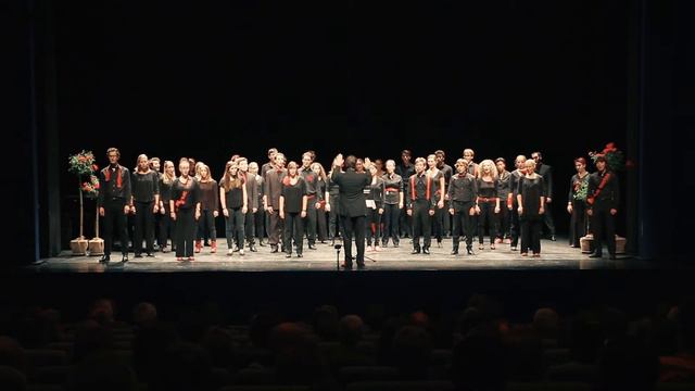 Wilhelm Stenhammar: I Seraillets Have - Schweizer Jugendchor 2015 смотреть онлайн