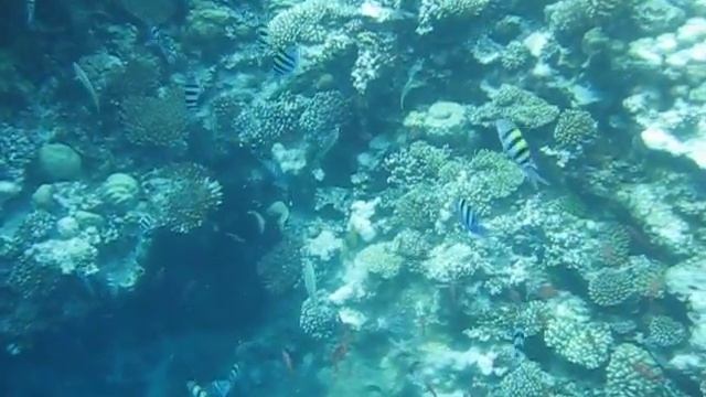 Пещерка сверху MVI 7414 смотреть онлайн