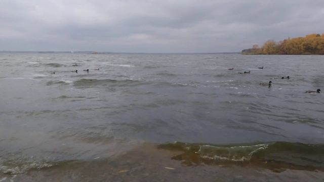 Минское море осень. Отдых в Беларуси. Волшебный звук волн. Шум Моря и морской прибой. Relaxing Wave