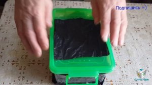 Dero furcata, где взять корм для рыб Аулофорус разведение, как вырастить самому аулофорус,