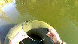 Мой первый улов на кастинговую сеть