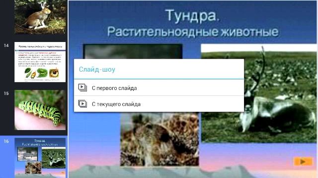 Программа  создавания презентаций Polaris Office